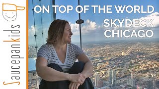 Spectacular Views From Skydeck In Chicago