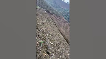 The clearing process of mountain grass- Good tools and machinery make work easy