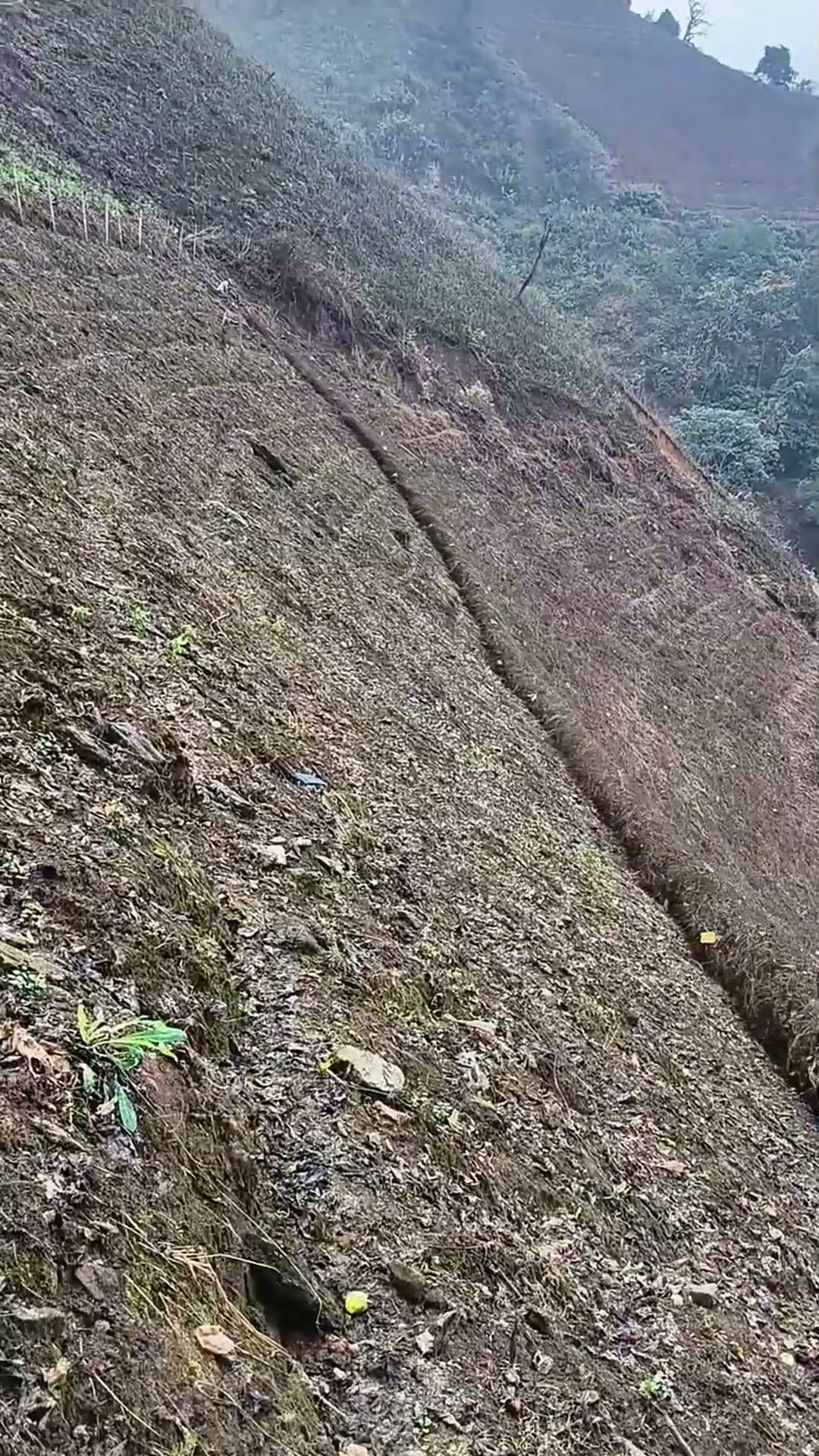 The clearing process of mountain grass- Good tools and machinery make work easy