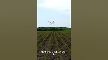 AI Weather Forecasts: Predicting More Than Rain