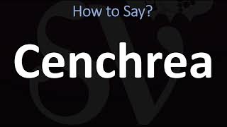How to Pronounce Cenchrea? (CORRECTLY)