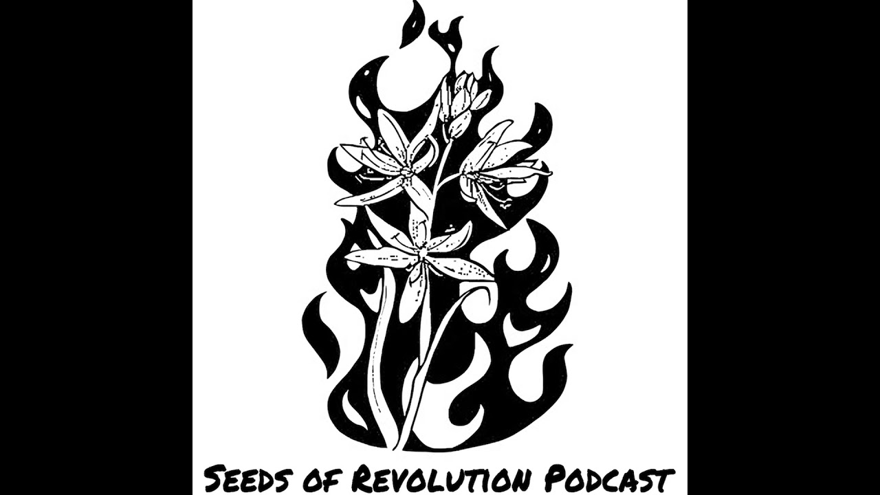 Gord Hill on his life as an anarchist, activist, and artist