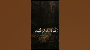 الشيخ سيد سعيد#سيد_سعيد #قران #قران_كريم #quran #القرآن_الكريم #تلاوة_خاشعة #حالات_واتس #اكسبلور