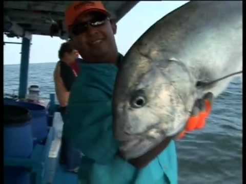 Aksi ikan malaysia eps 01 - YouTube