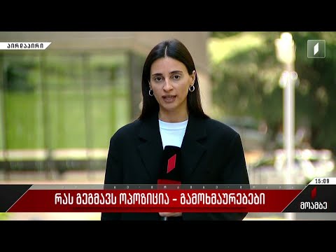 რას გეგმავს ოპოზიცია - გამოხმაურებები