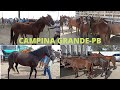 FEIRA DO CAVALO DE CAMPINA GRANDE-PB 06/10/2021 MUITO POTRO NOS PREÇO