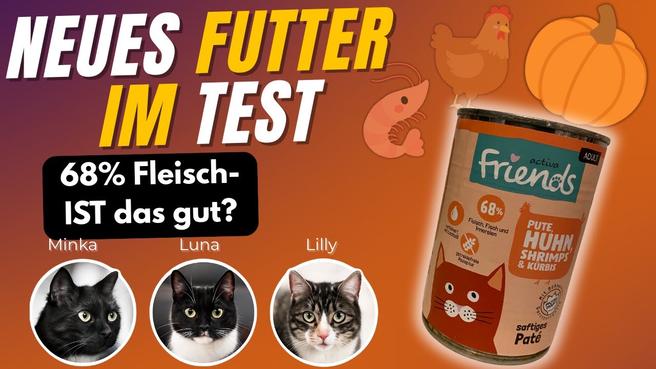 ACTIVA FRIENDS im Test  Pute  Huhn  Shrimps & Krbis  Wie gut ist es  wirklich?