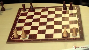 Come si chiamano i pezzi dello scacchi?