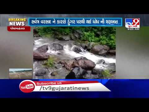 2 gates of Dev dam opened following heavy rain in Panchmahal, nature glows  | TV9News