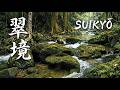 翠境 (suikyō) • Tropical Rainforest Stream • Emerald Nature
