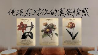 心裡想著他，現在對你的真實情感和想法|塔羅測試|愛情|戀愛|