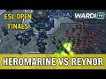 HeroMarine vs Reynor - MUTAS VS MECH! ESL Open Finals (TvZ)