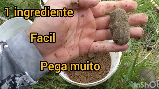 Tilapia dough: choose the right feed