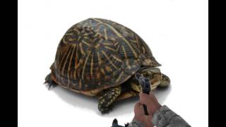 Green Screen On Gmod