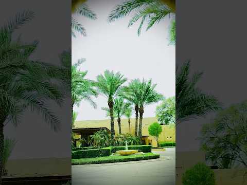 Desert Hotel Bab Al Shams Shortsfeed Sanu Gvr Shorts Dubai Desert Hotel Resort 