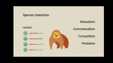 Introduction to Population Dynamics