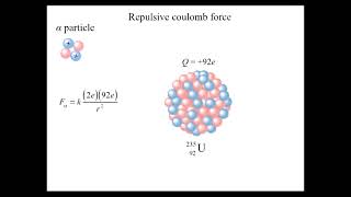 Induced Nuclear Reactions 2