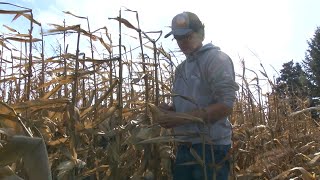 AgweekTV: American Star Farmer Finalist