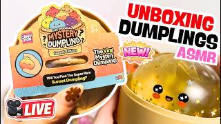 RMS Squishy Sunset Dumpling  Collection Unboxing &amp; Review! 🥟 ASMR Squishy Collector  🔴 LIVE