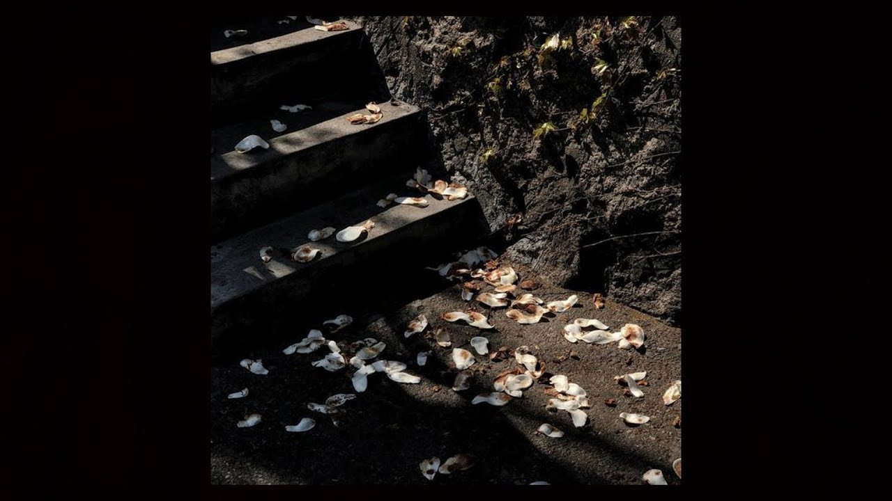 (sold) (w/ beat switch) flume x cashmere cat type beat - "beeee"