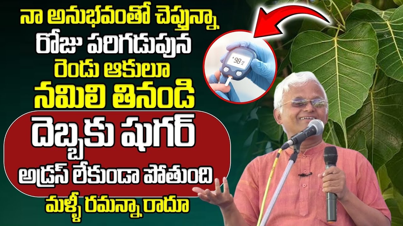 పరిగడుపున ఈ ఆకులూ నమిలి తింటే షుగర్ కంట్రోల్లో ఉంటుంది | Sugar Health Tips| @ManamtvDoctors