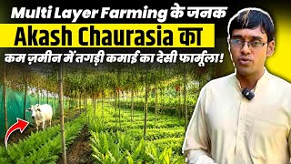 एक खेत में कई फसलें! 😳👉🏻Father of Multi Layer Farming 👉🏻Akash Chaurasia ने बदल दी किसानों की किस्मत!