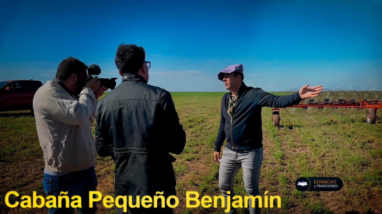 291 Cabaña Pequeño Benjamín, Raza Limangus (San Luis) - Estancias y ...