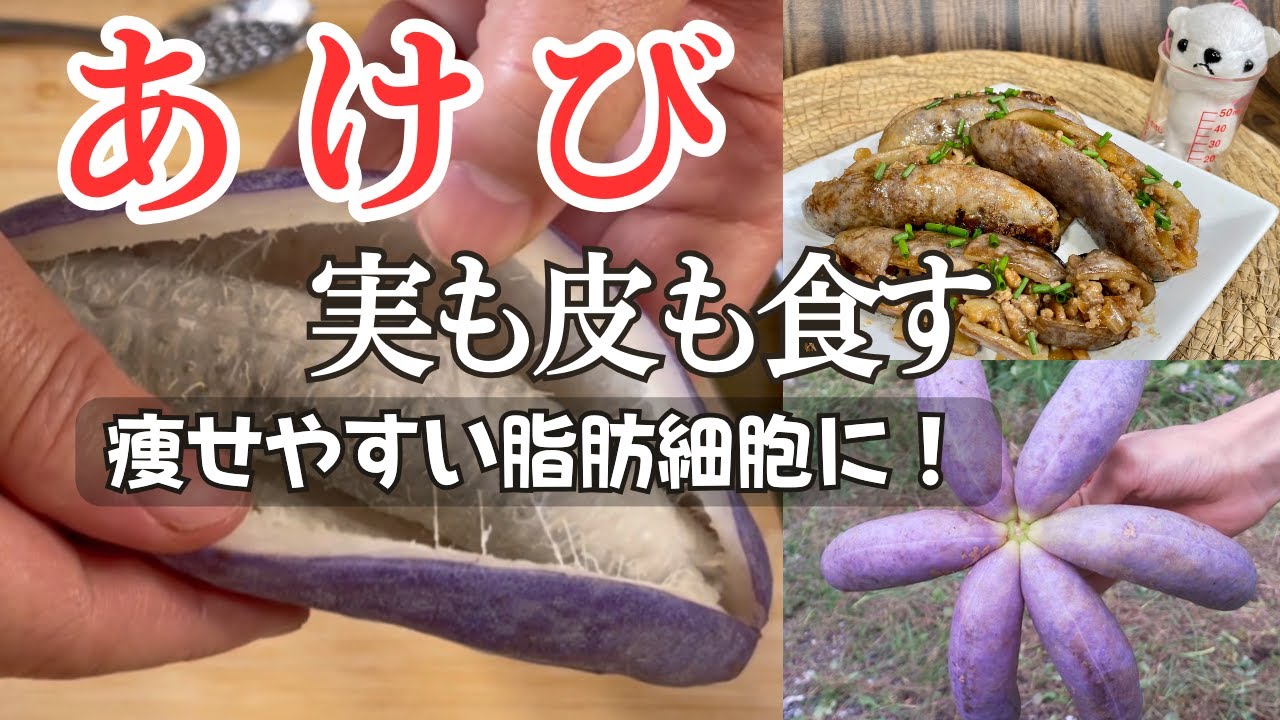 山形県朝日町】今話題の「アケビ」料理を作りました！ - YouTube