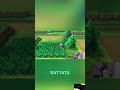 Catching Pokémon: Nidoran, Rattata & More! Pokédex Fills Up! #shorts