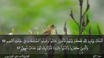 الصفحة 339 سورة الحج بصوت القارئ المهندس أحمد فايز الحراسيس