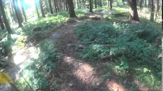 MTB Tour im Schwarzwald