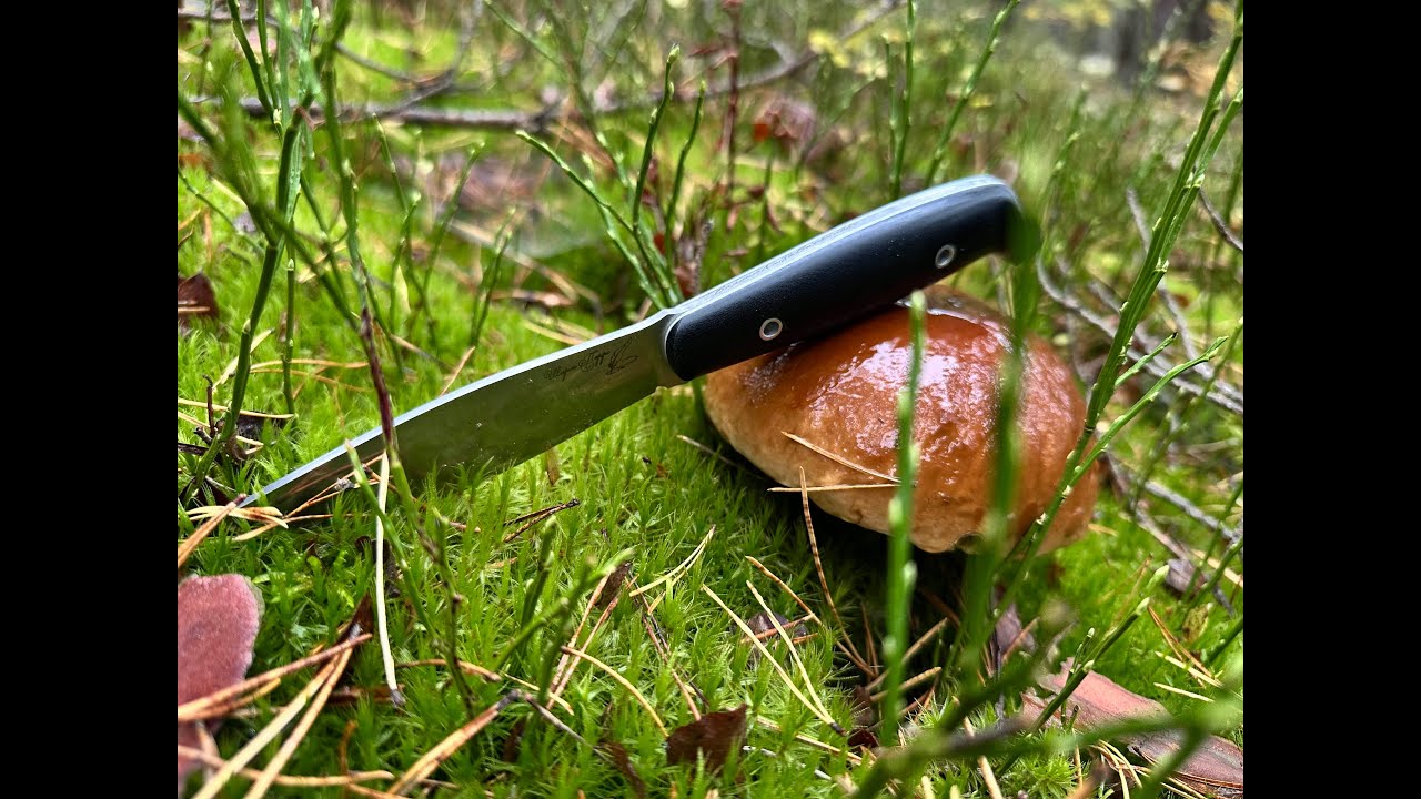 Лучший нож для грибов и рыбалки? Шарль Перо от BeaverKnife (миниобзор)