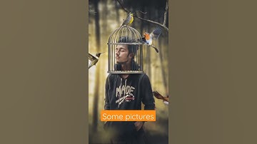 Apne Photo Ka Status Kaise Banaye | CreateYour Full Screen Photo Video Status