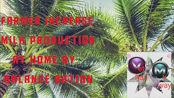 Balance feed for improve livestock production