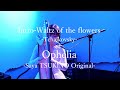 Ophelia【Saya TSUKINO Original song】-ハープ弾き語り 月野沙耶( harp singer-song writer Saya TSUKINO)
