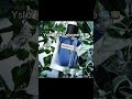 New fragrance releases of 2026💨 #perfume #trend #lab8fragrances #fragrance