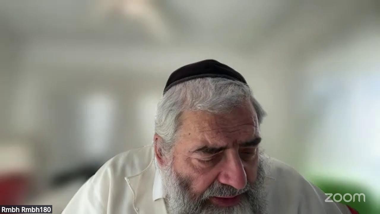Daf HaYomi - Zevahim 117