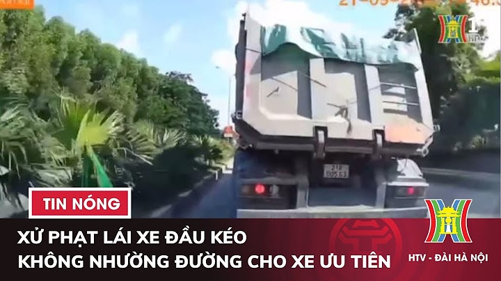 Lỗi không nhường đường cho xe trên đường ưu tiên năm 2024