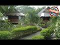 Mayas Native Garden Resort | Cebu, Philippines | Hotel Review 🏨