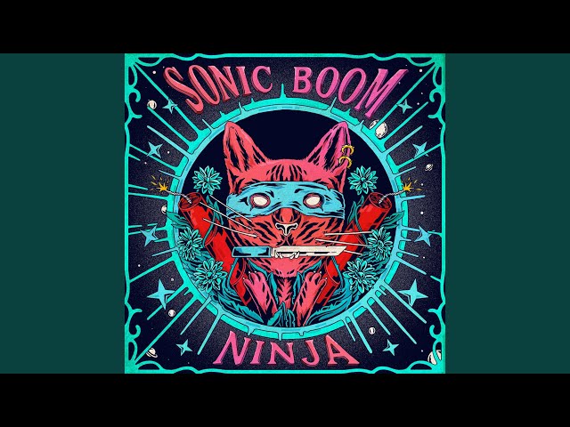 Ninja