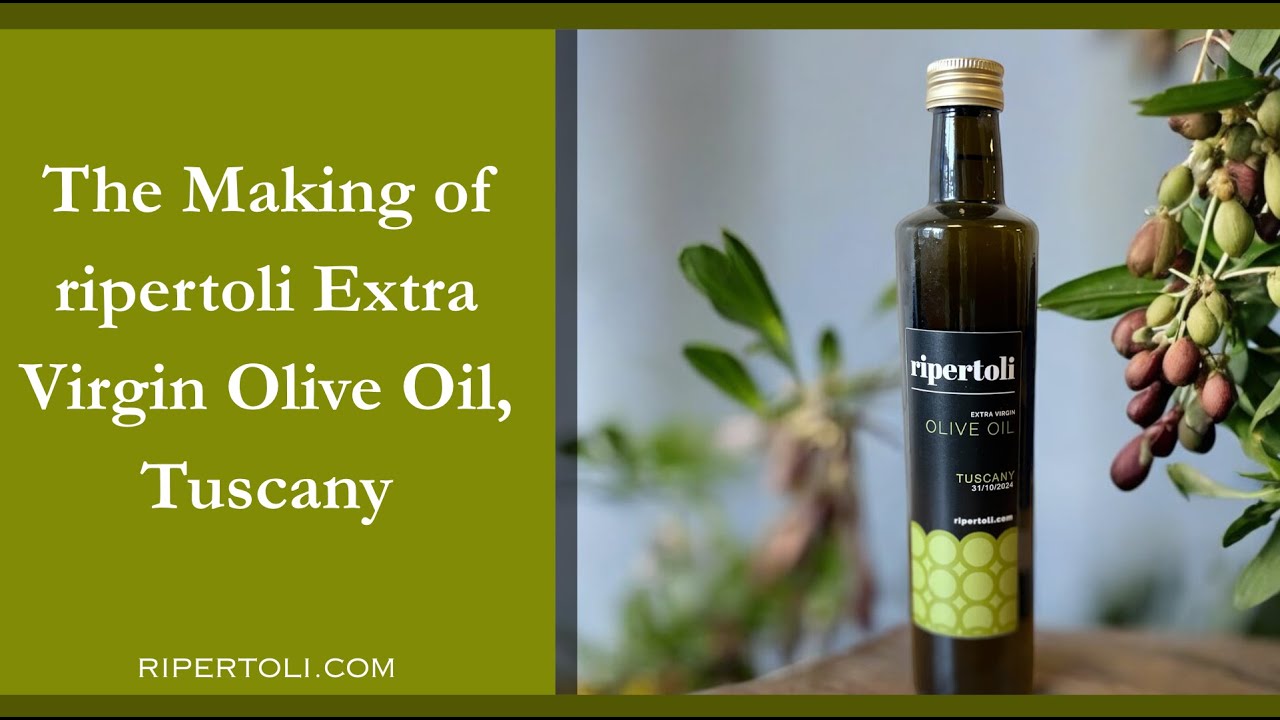 Intro and Chapter 1 (updated): The Olive Harvest, including the 'Machinette' Ripertoli Olive Oil