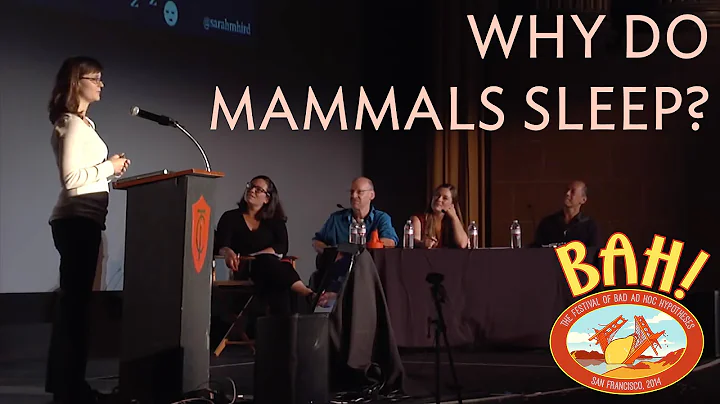 BAHFest West 2014 - Sarah Hird: Why do Mammals Sle...