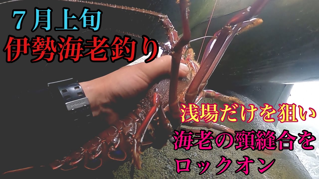 伊勢海老釣り釣行第8回目