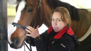 HOW TO- Fit A Cavesson Bridle | GG Eventing |