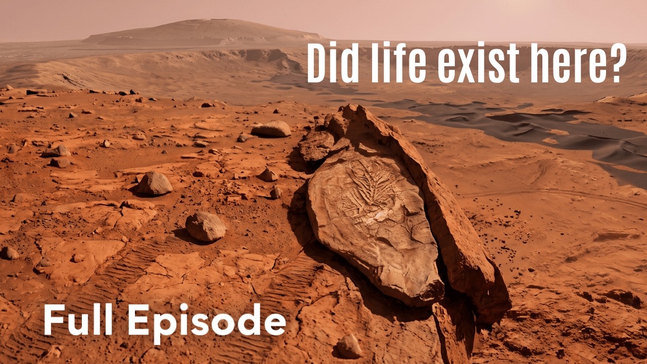 Mars' Transformation from Warm, Wet World to Cold Desert