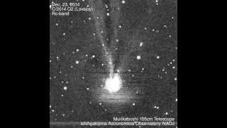 The Bundling of Comet Tails Captured by the MURIKABUSHI Telescope / むりかぶし望遠鏡がとらえた彗星の尾の収束