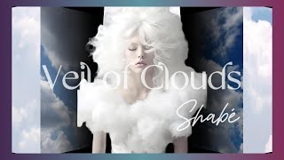 Veil of Clouds — Ambient Poetry (Atmospheric)