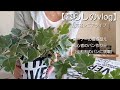【暮らしのvlog】シニアライフ／コーナーの模様替え／全粒粉のパンに初挑戦