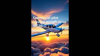 Cirrus SR20 – more advanced, often used for commercial pilot training.