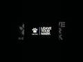 #Kelme llega a #México #KelmeMexico